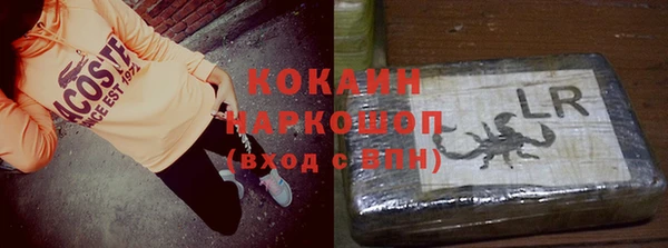 индика Краснотурьинск