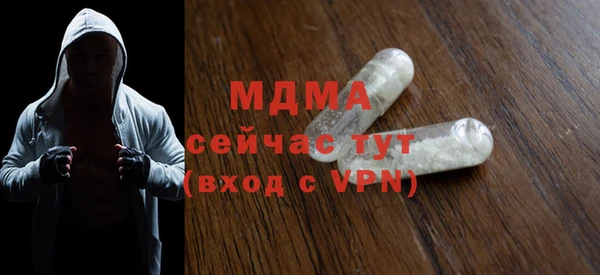 индика Краснотурьинск