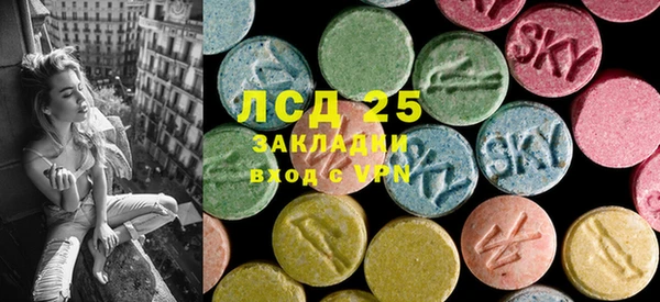 индика Краснотурьинск