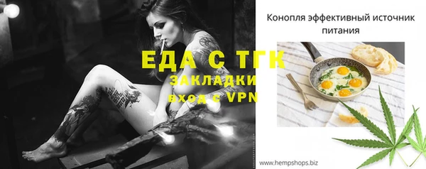 индика Краснотурьинск