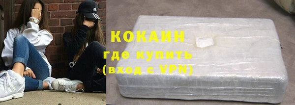 индика Краснотурьинск