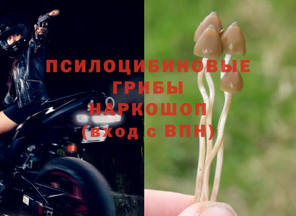 ALPHA-PVP Красноперекопск